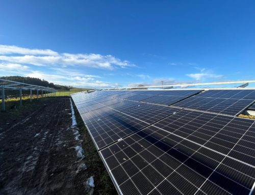 Solarpark auf der Zielgeraden